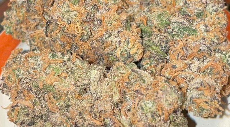 cherry cookie breath by relentless genetics strain review by toptierterpsma