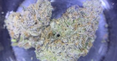 cherry cookie cake by fresh baked strain review by cali_bud_reviews
