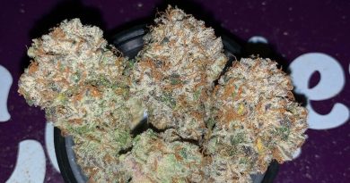 cherry mints by happy daddy products strain review by pnw_chronic (2)