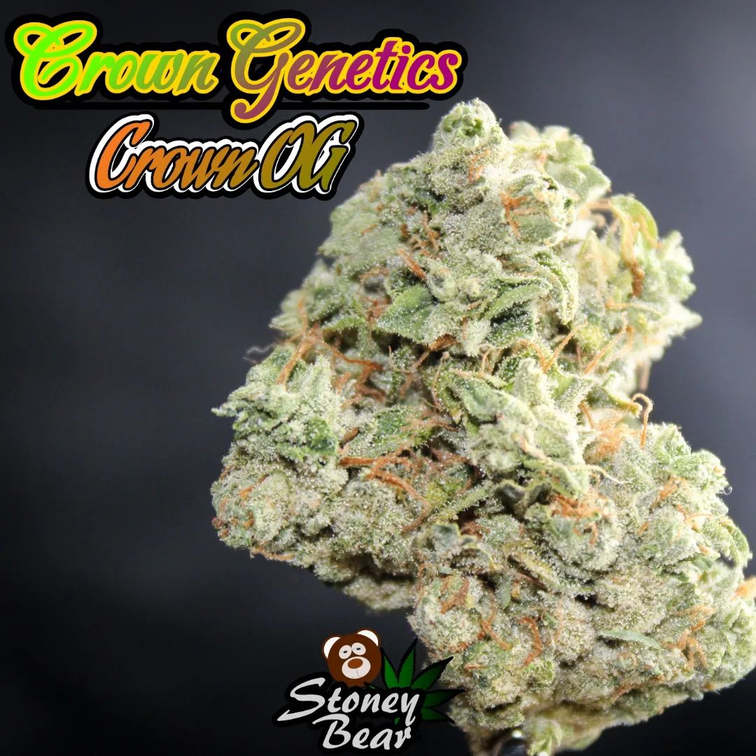 crown og by crown genetics strain review by stoneybearreviews