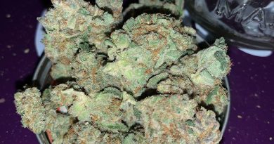 double tap by rosebud growers strain review by pnw_chronic