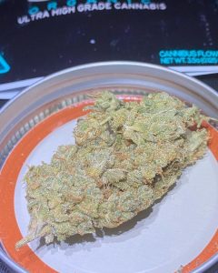 exit 31 by infamous farms strain review by toptierterpsma 2