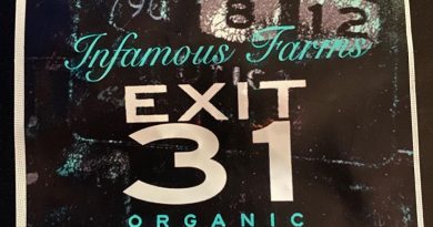 exit 31 by infamous farms strain review by toptierterpsma