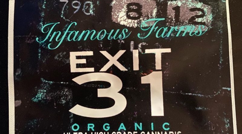 exit 31 by infamous farms strain review by toptierterpsma