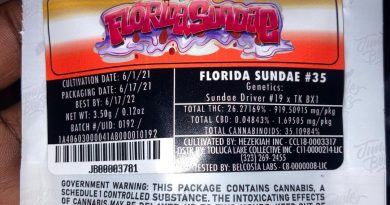 florida sundae #35 by jungle boys strain review by sjweedreview