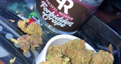 forbidden grape by pacific reserve strain review by sjweedreview