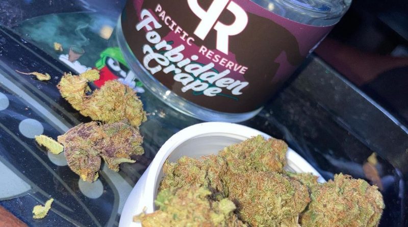 forbidden grape by pacific reserve strain review by sjweedreview