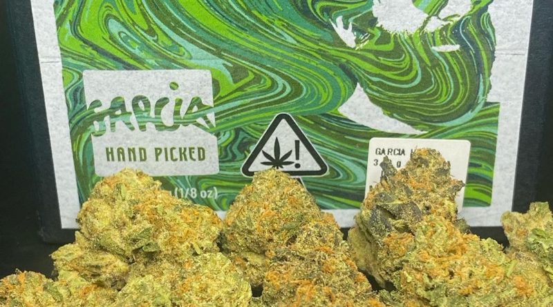 gelato 41 by garcia hand picked strain review by cali_bud_reviews