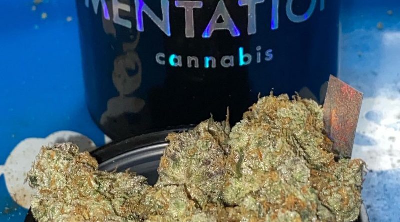 gmo by mentation strain review by toptierterpsma