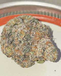 gorilla butter f2 by blockhead buds strain review by toptierterpsma 2