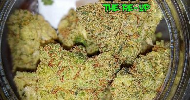 gorilla og by the re-up strain review by stoneybearreviews