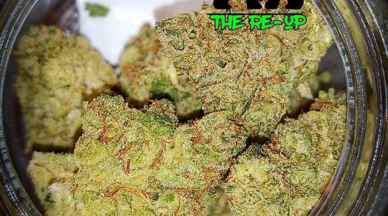 gorilla og by the re-up strain review by stoneybearreviews