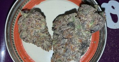 grape cream cake by surfr select strain review by pnw_chronic