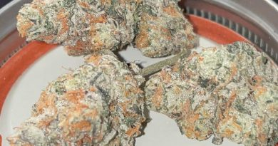 hectane by boutique smoke strain review by toptierterpsma