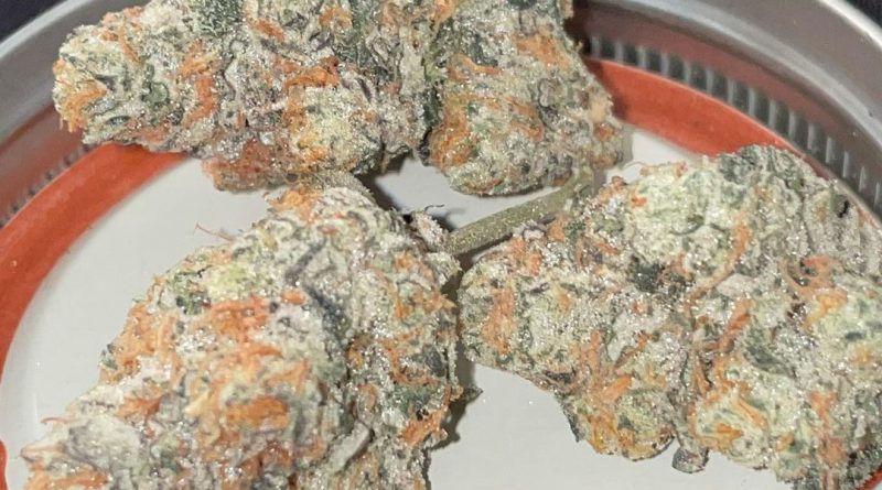 hectane by boutique smoke strain review by toptierterpsma