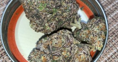 ice cream cake by herbal dynamics strain review by pnw_chronic