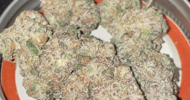kush mints by blame canada strain review by toptierterpsma