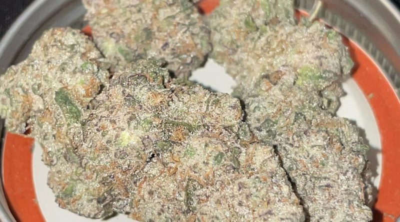 kush mints by blame canada strain review by toptierterpsma