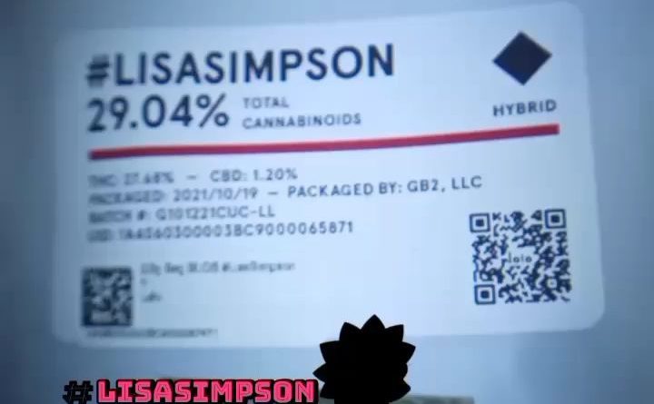 lisa simpson by lolo cannabis strain review by stoneybearreviews