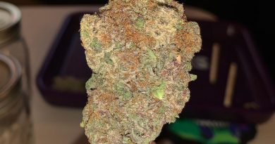 lumpy space princess (lsp) by rosebud growers strain review by pnw_chronic