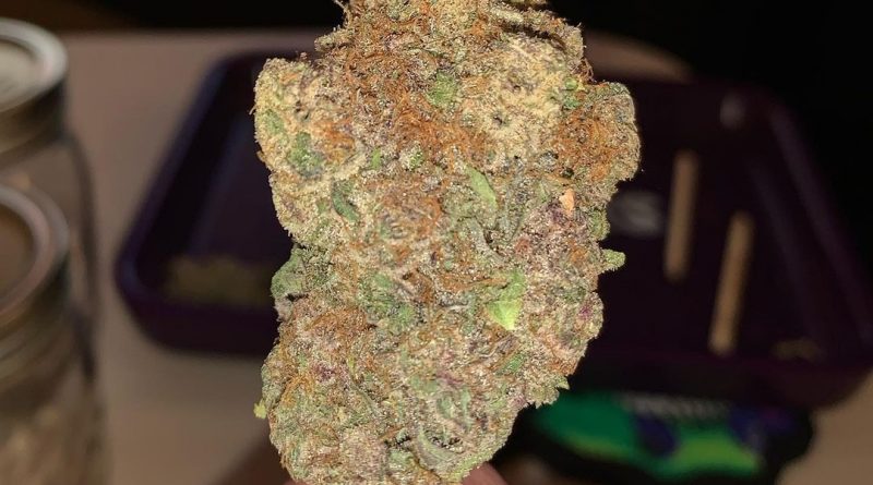 lumpy space princess (lsp) by rosebud growers strain review by pnw_chronic