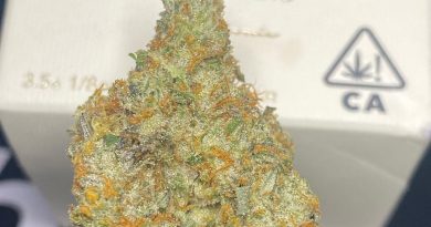 marshmallow og by source cannabis strain review by cali_bud_reviews