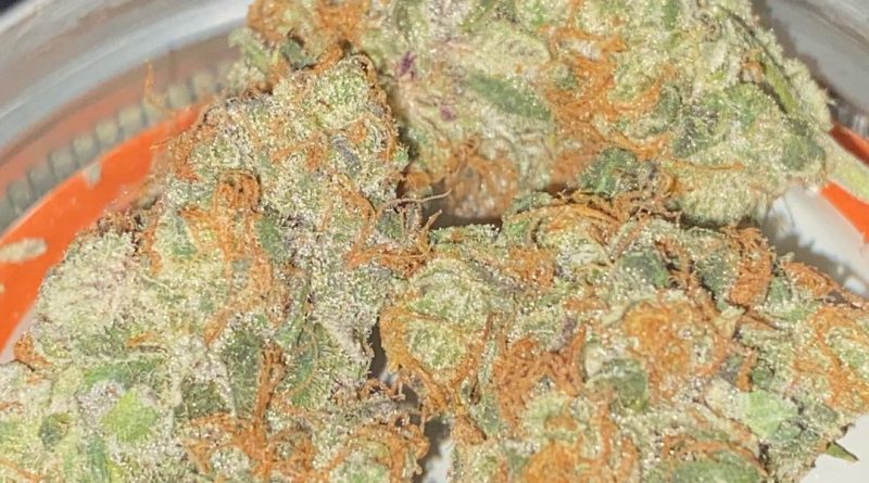 meat sweats by boutique smoke strain review by toptierterpsma
