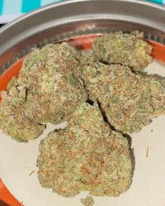 mint creme oreo by infamous farms strain review by toptierterpsma 2
