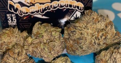 mochaccino by the cure company strain review by cali_bud_reviews