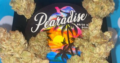 pearadise by team elite genetics strain review by cali_bud_reviews