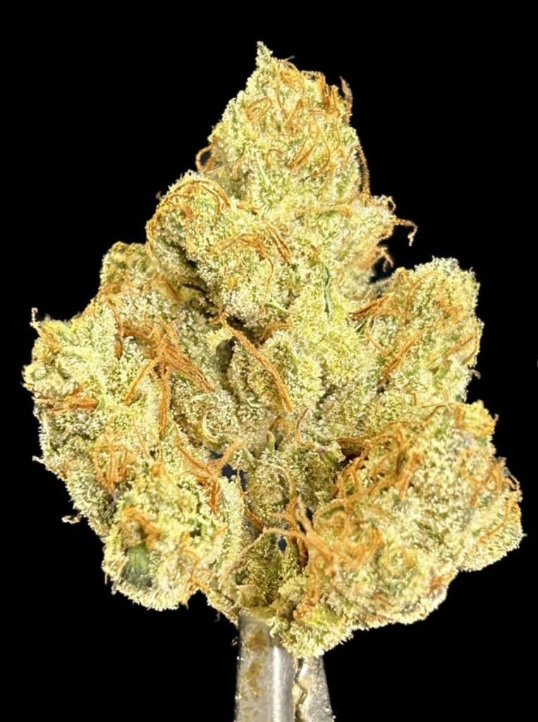 pearadise strain review by bccalibudreviews 2023