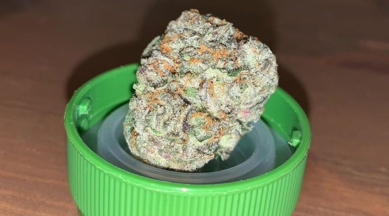 pie shake by doghouse strain review by pnw_chronic
