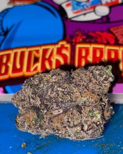 purple icee by bucks brand strain review by toptierterpsma 2