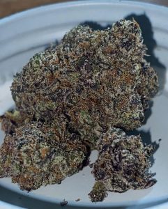 queensbridge cannoli by infms farms strain review by toptierterpsma 2