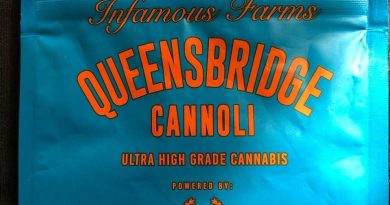 queensbridge cannoli by infms farms strain review by toptierterpsma