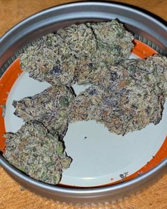 revenge of the nerds by trappack strain review by toptierterpsma 2