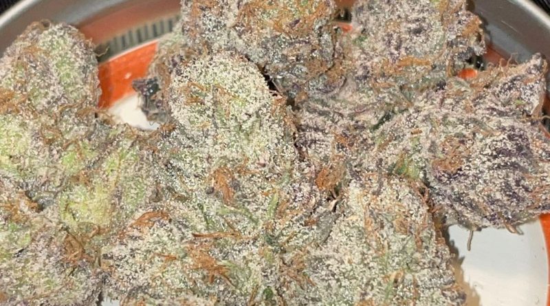 runtz by the lone tree strain review by toptierterpsma