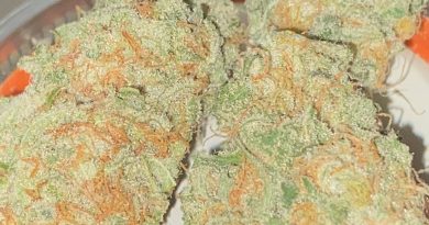 strawberries milk n cream by boutique smoke strain review by toptierterpsma