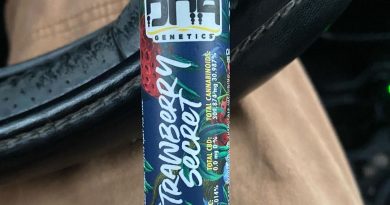 strawberry secret by dna genetics pre-roll review by cali_bud_reviews