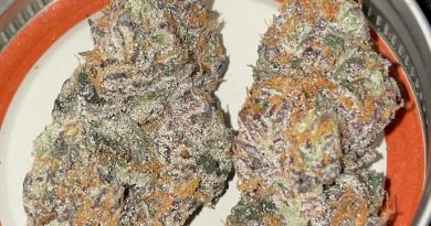 strawpicana by boutique smoke strain review by toptierterpsma