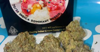 stuffed donut by team elite genetics strain review by cali_bud_reviews
