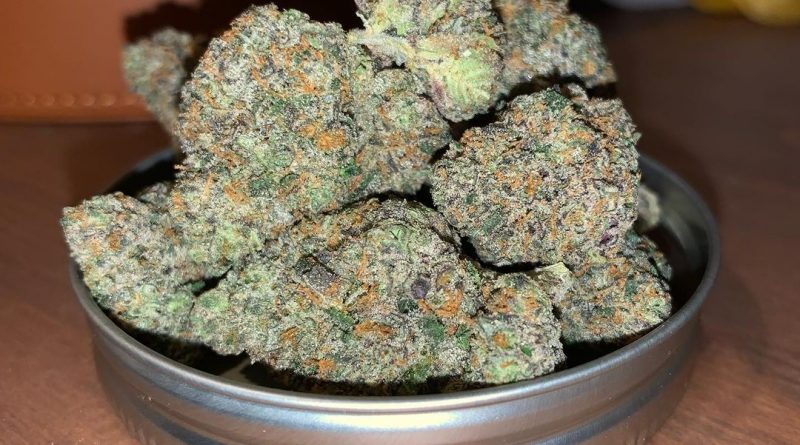 sunset runtz by urban canna strain review by pnw_chronic