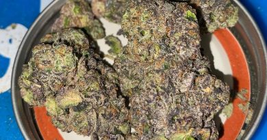 sunset sherbert by east coast cultivation strain review by toptierterpsma