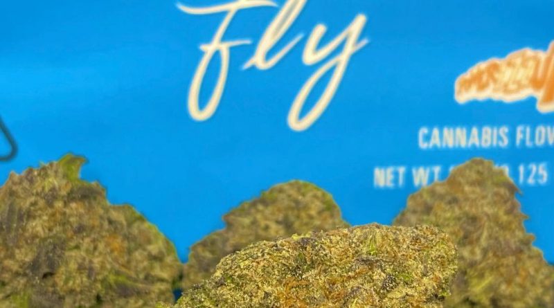 the fly by cookies strain review by cali_bud_reviews
