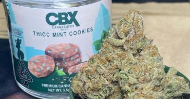 thicc mint cookies by cannabiotix strain review by cali_bud_reviews