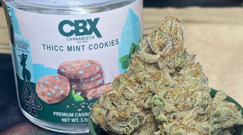thicc mint cookies by cannabiotix strain review by cali_bud_reviews