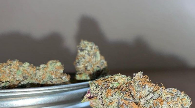thizzles #8 by doghouse strain review by pnw_chronic