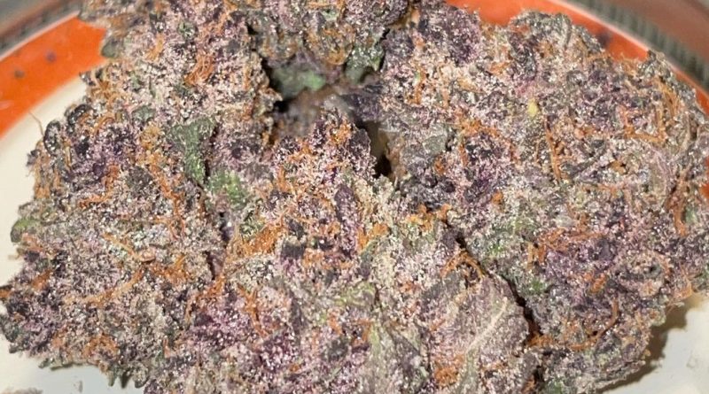 tropicana cherry by green trap cannabis strain review by toptierterpsma