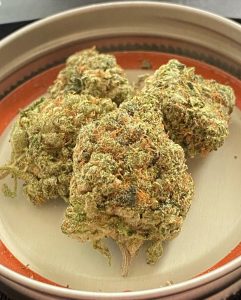 twin og by infamous farms strain review by toptierterpsma 2