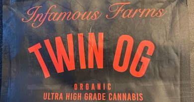 twin og by infamous farms strain review by toptierterpsma
